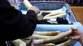 Apichart Weerawong/AP