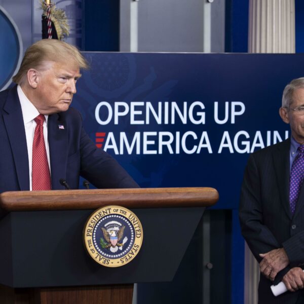 (AP Photo/Alex Brandon)