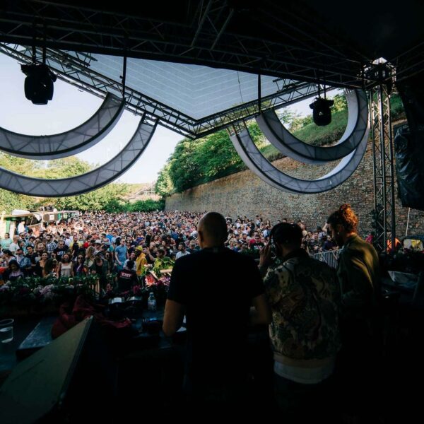 Vladimir Veličković