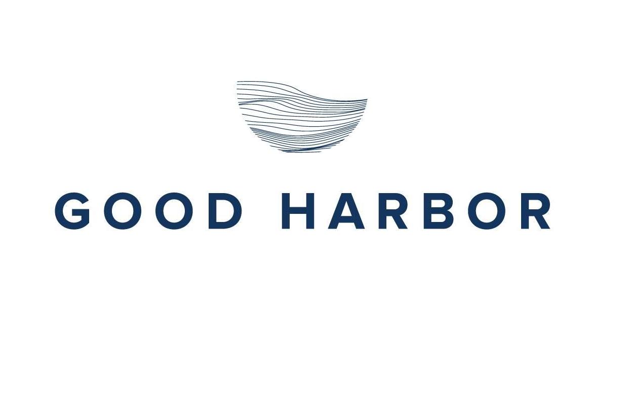 Good Harbor: Dalton Sim, Ben Levin Start New Management ...