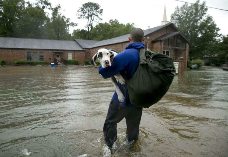 Jay Janner/Austin American-Statesman via AP
