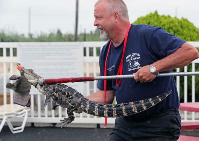 Craig Matthews/The Press of Atlantic City via AP