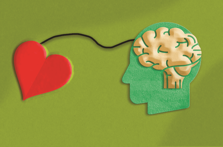 brain 1