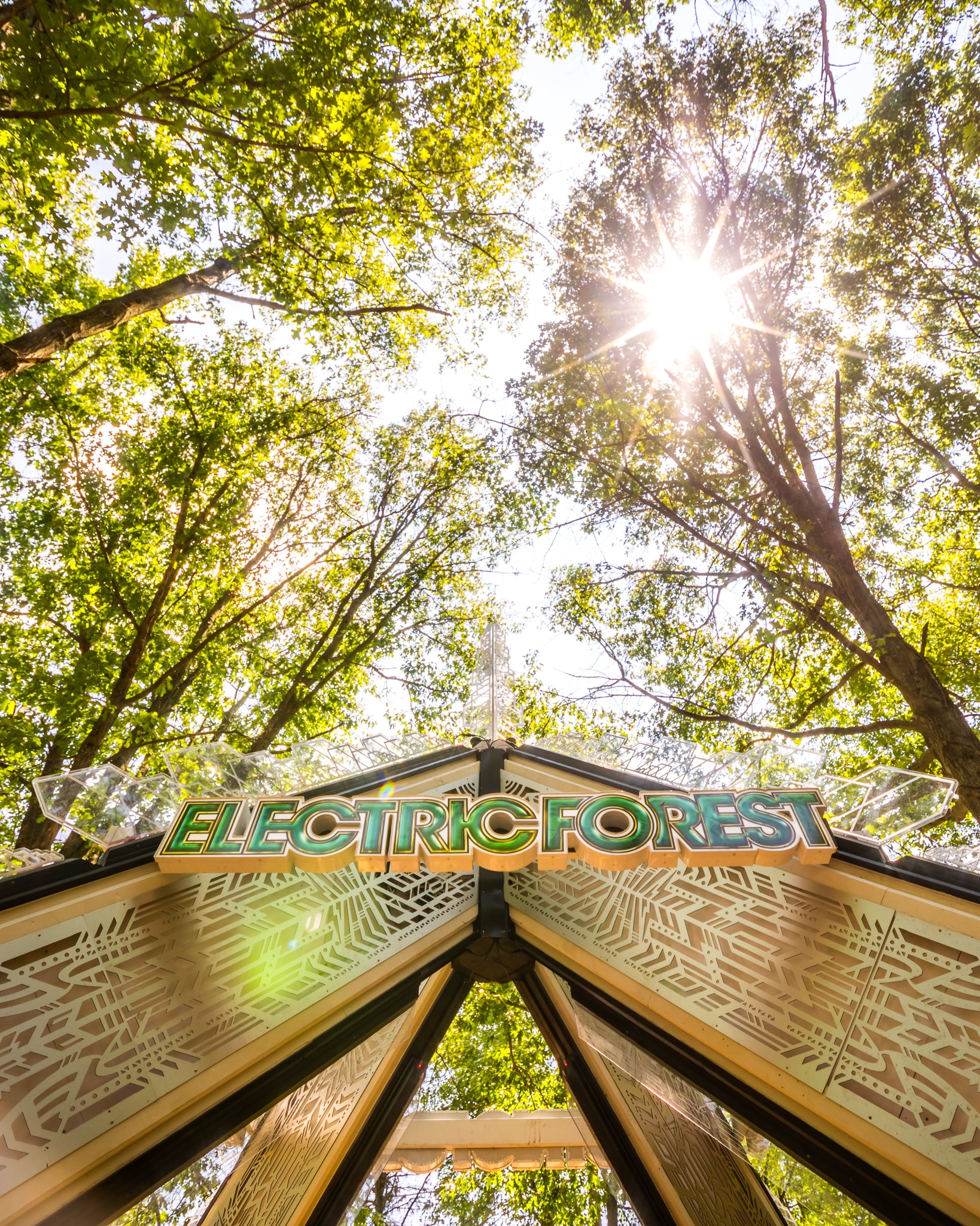 EF2024 0619 131702 3742 ALIVECOVERAGE