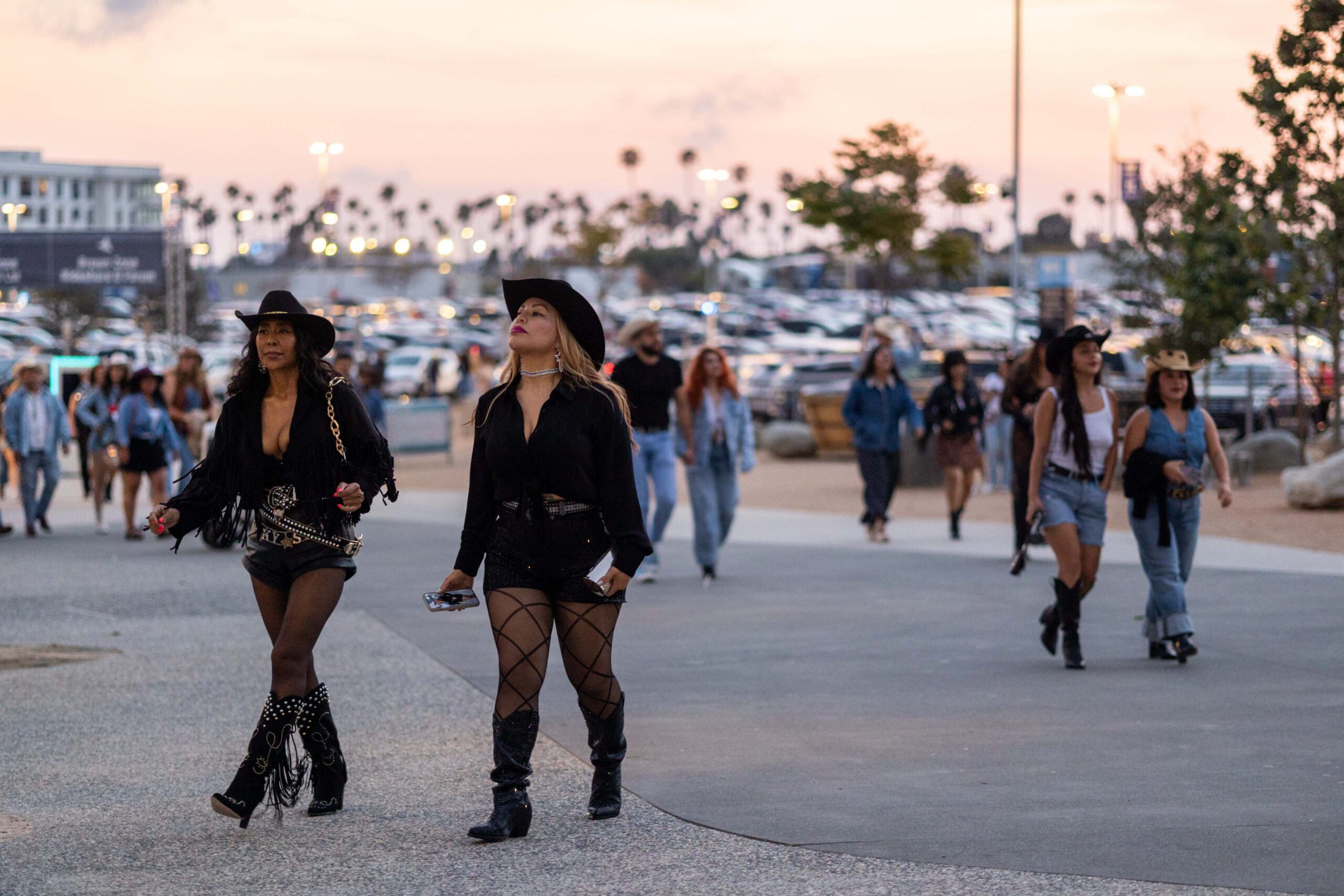 Beyonce Cowboy Carter Outfits