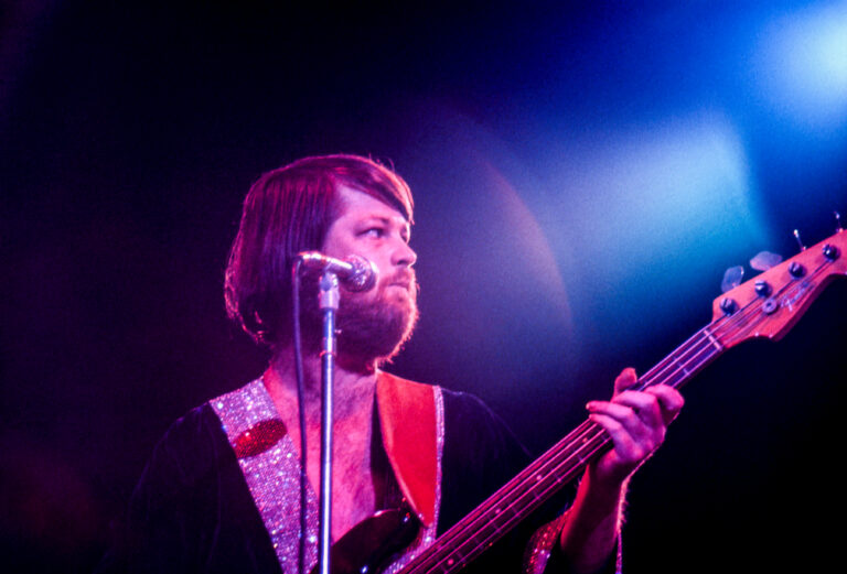 Beach Boys Live