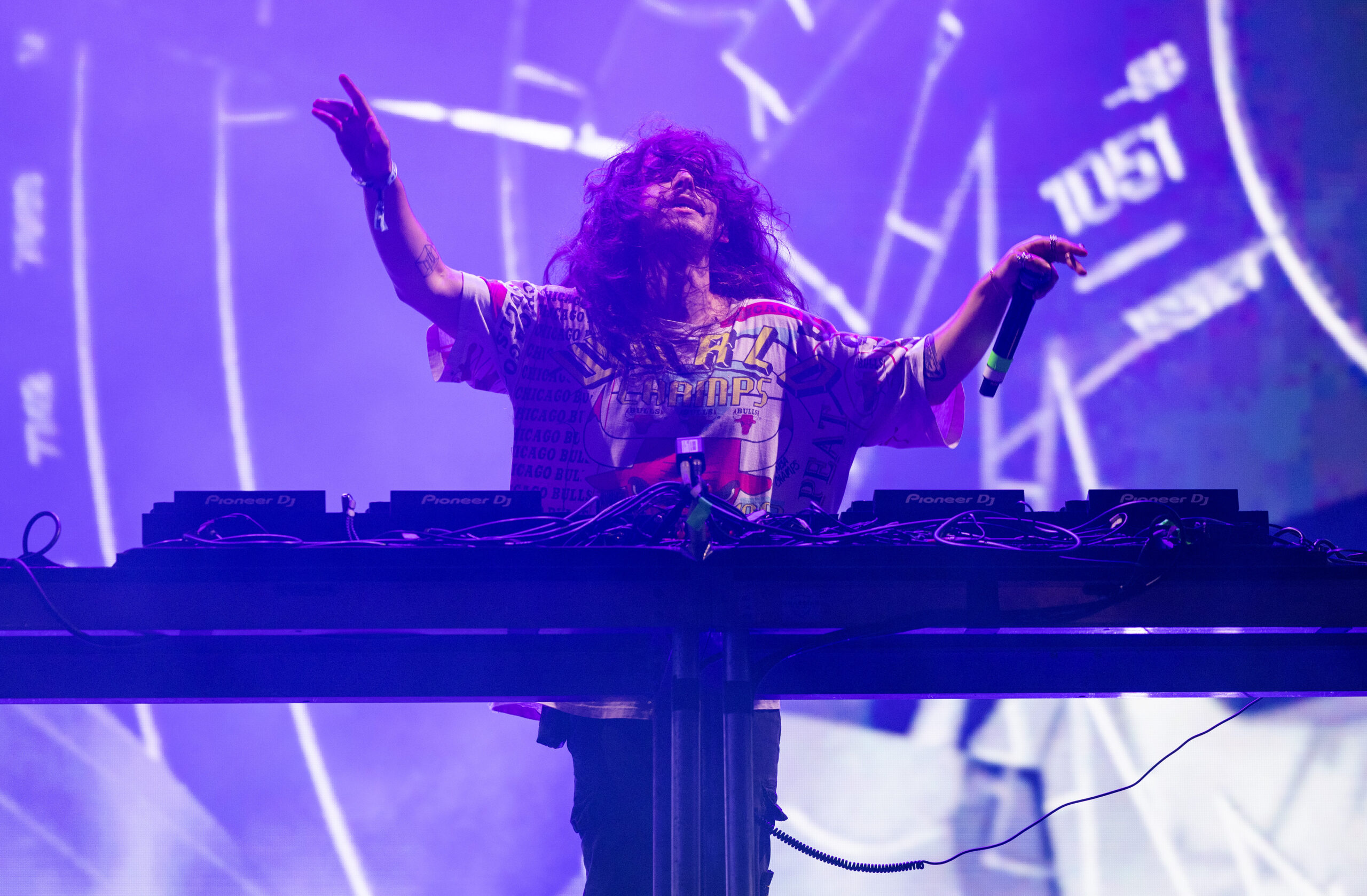 2023 Lollapalooza Festival