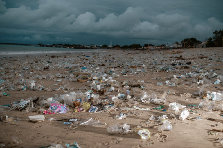 Platic Waste Beach Bali Indonesia