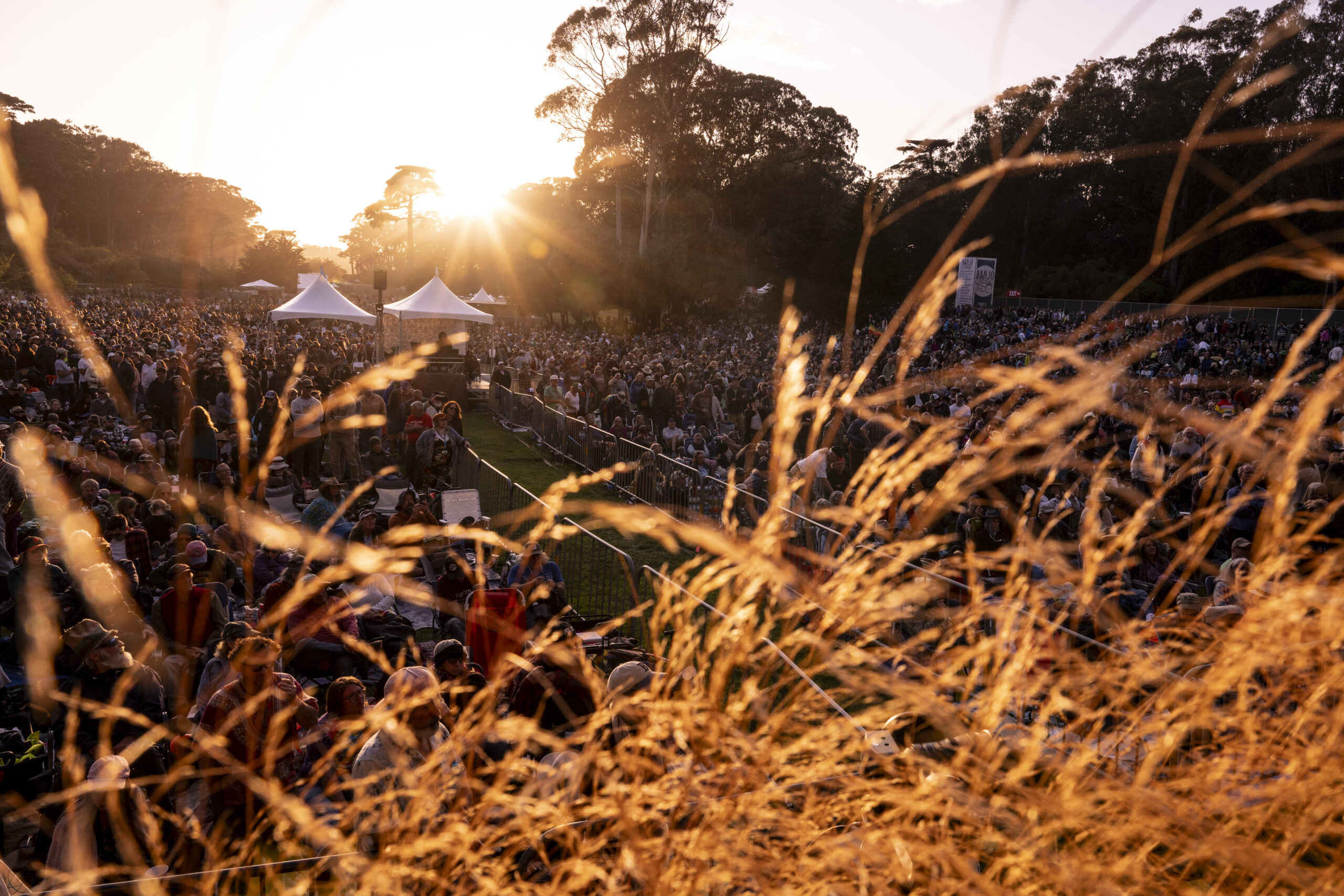 Hardly Strictly Bluegrass