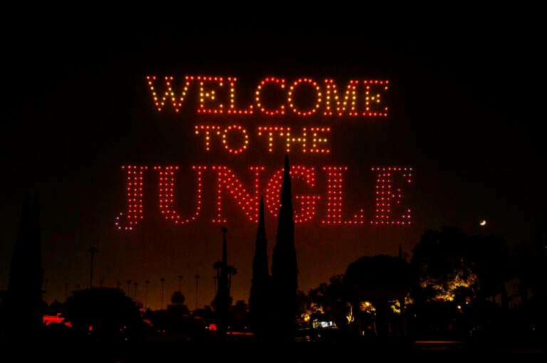 GunsDroneChristopherPolk