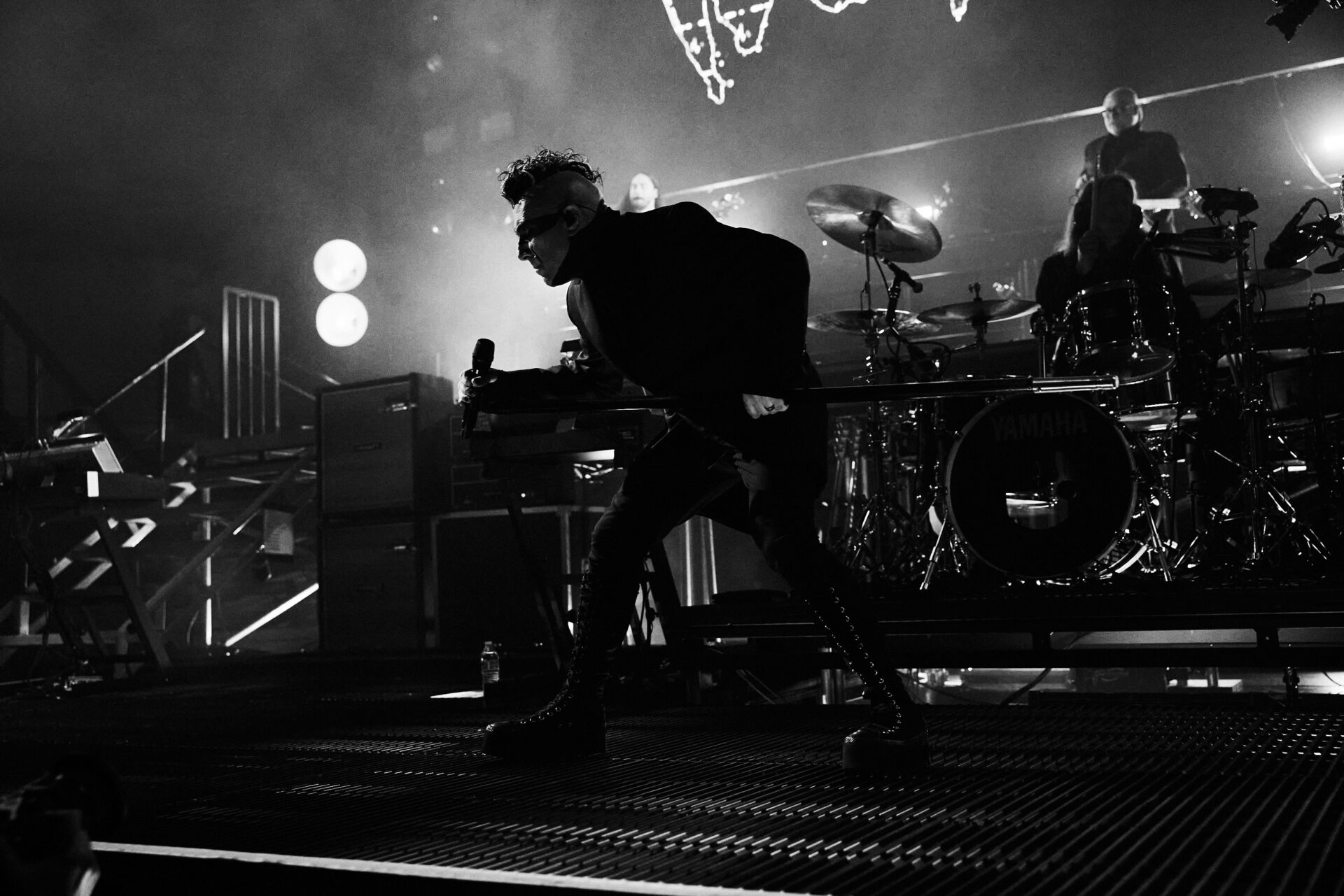 LivePuscifer 081025 3 2433