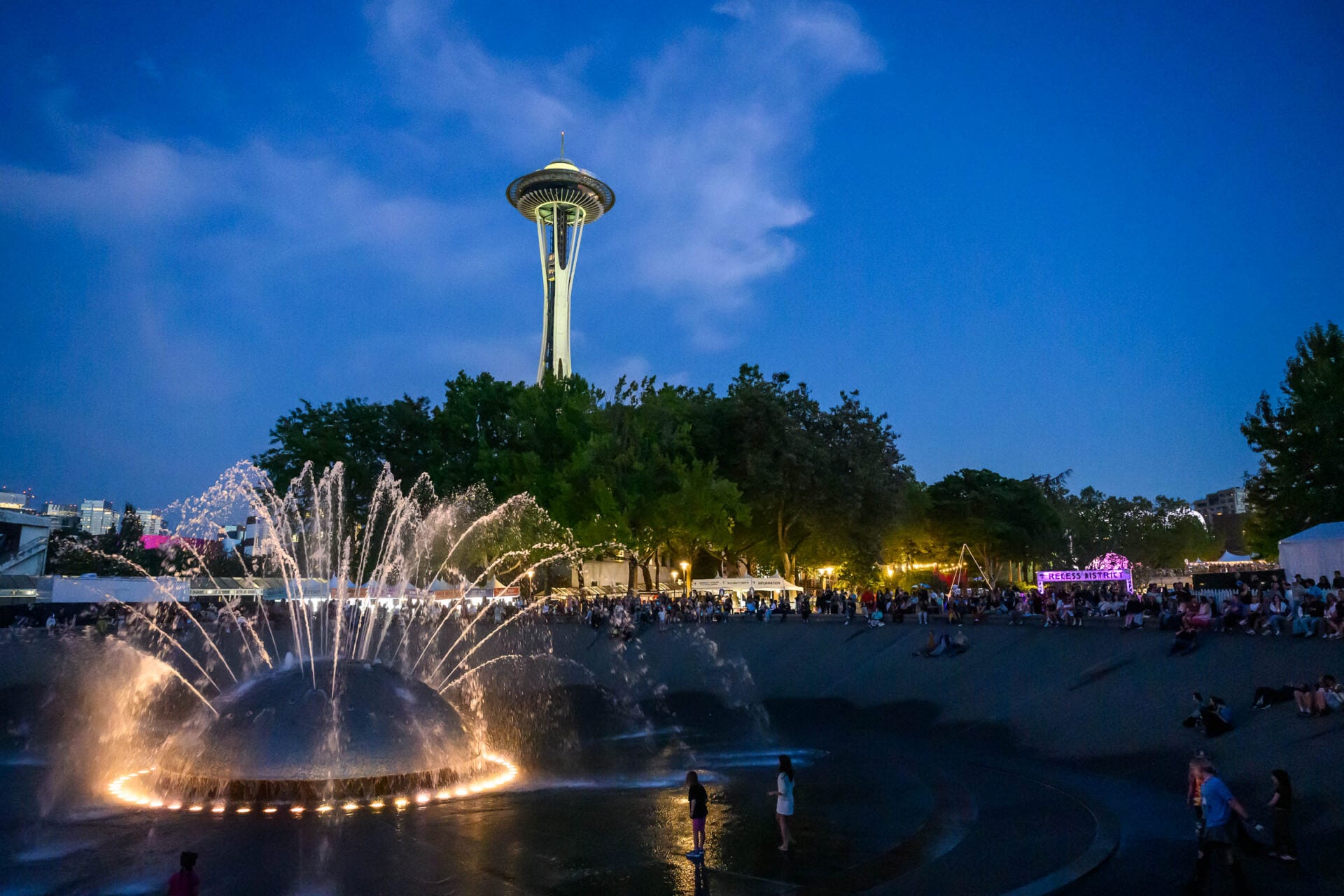 Bumbershoot25 Crowd ChristineMitchell@housetornado 29