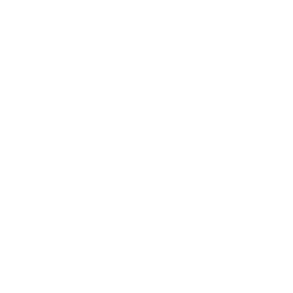 MSS26 Lockup Wordmark WHT square with border