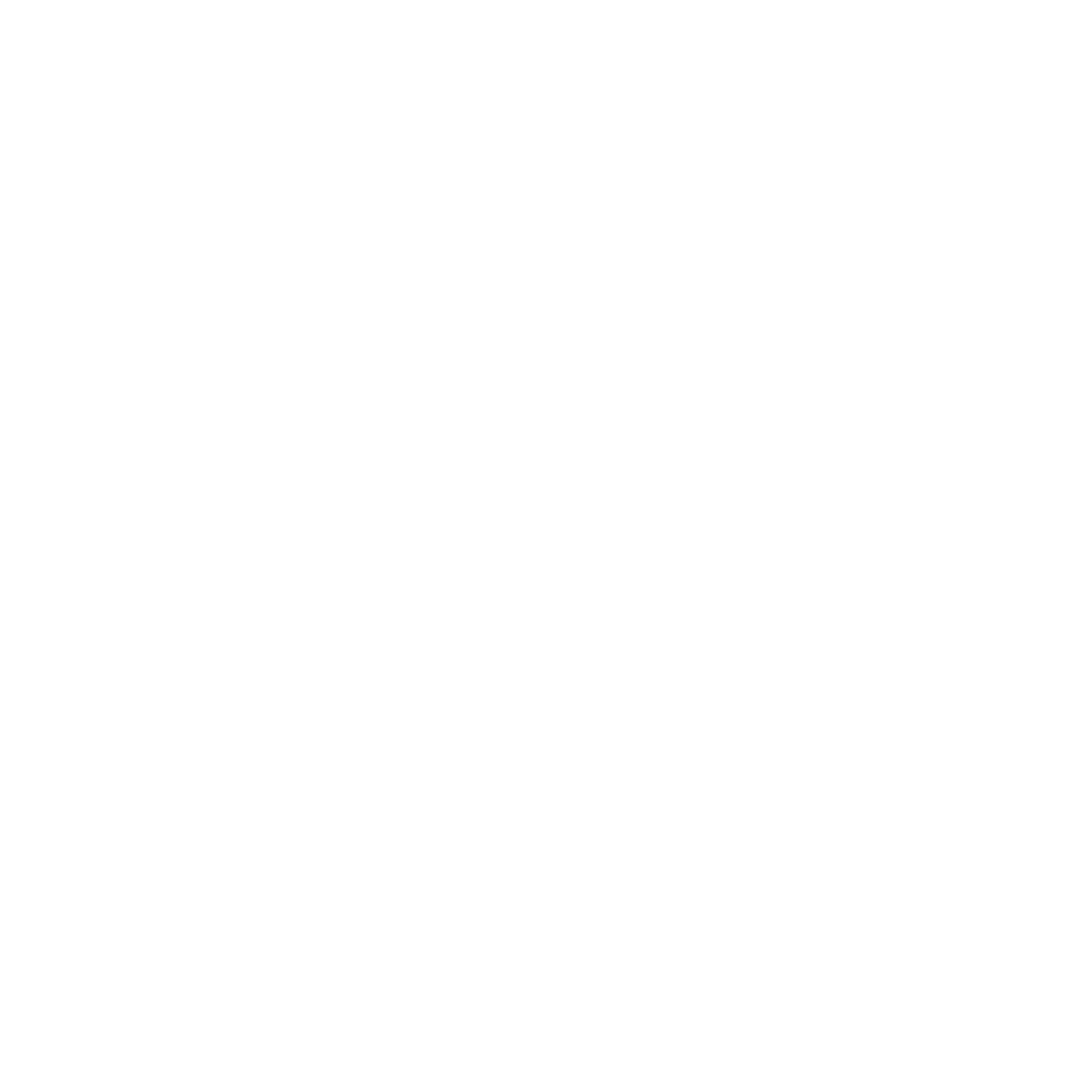 MSS26 Lockup Wordmark WHT square with border