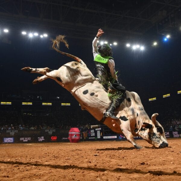 PBRTeamsSage Kimzey Greensboro 2025 Bull Stock Media