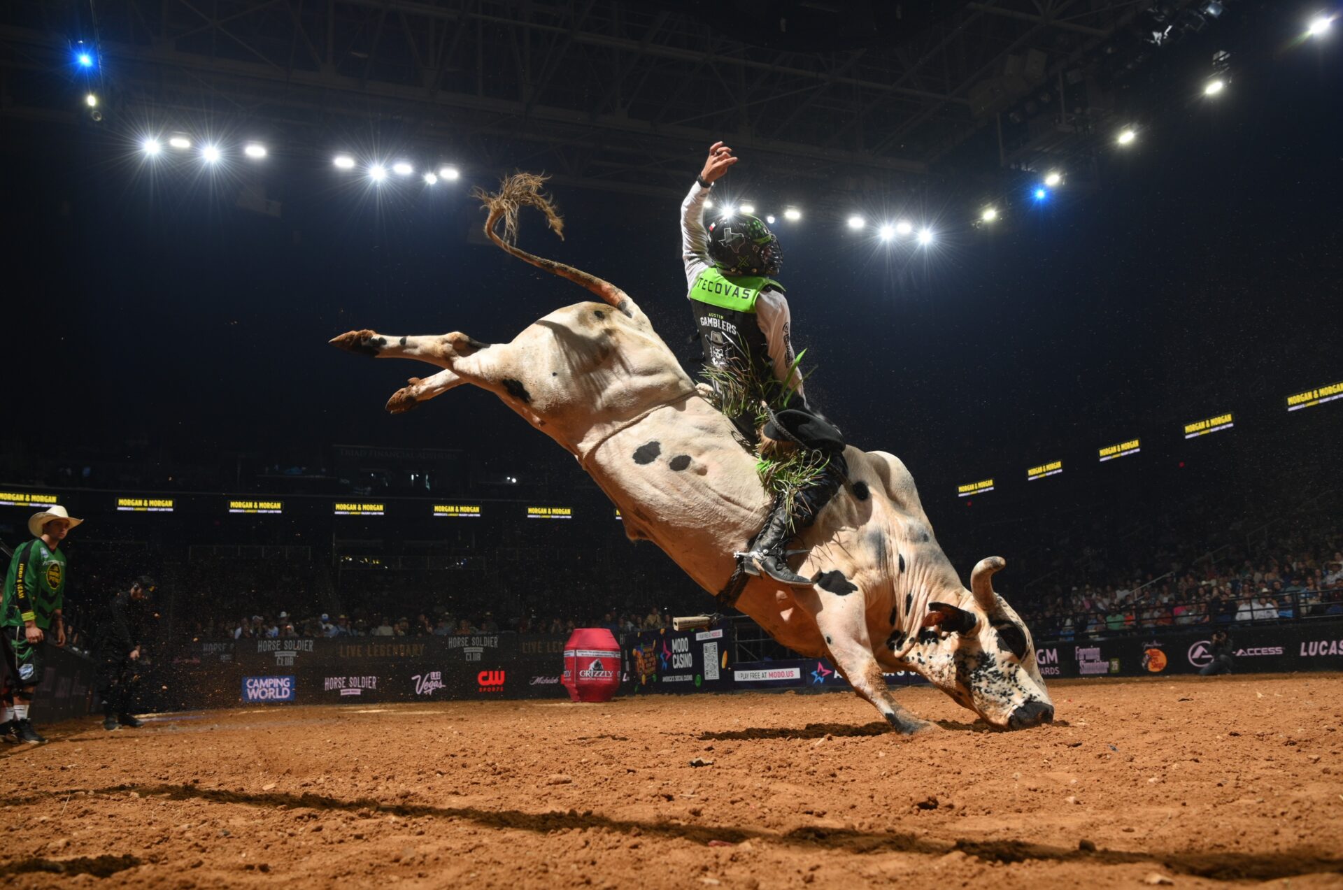 PBRTeamsSage Kimzey Greensboro 2025 Bull Stock Media