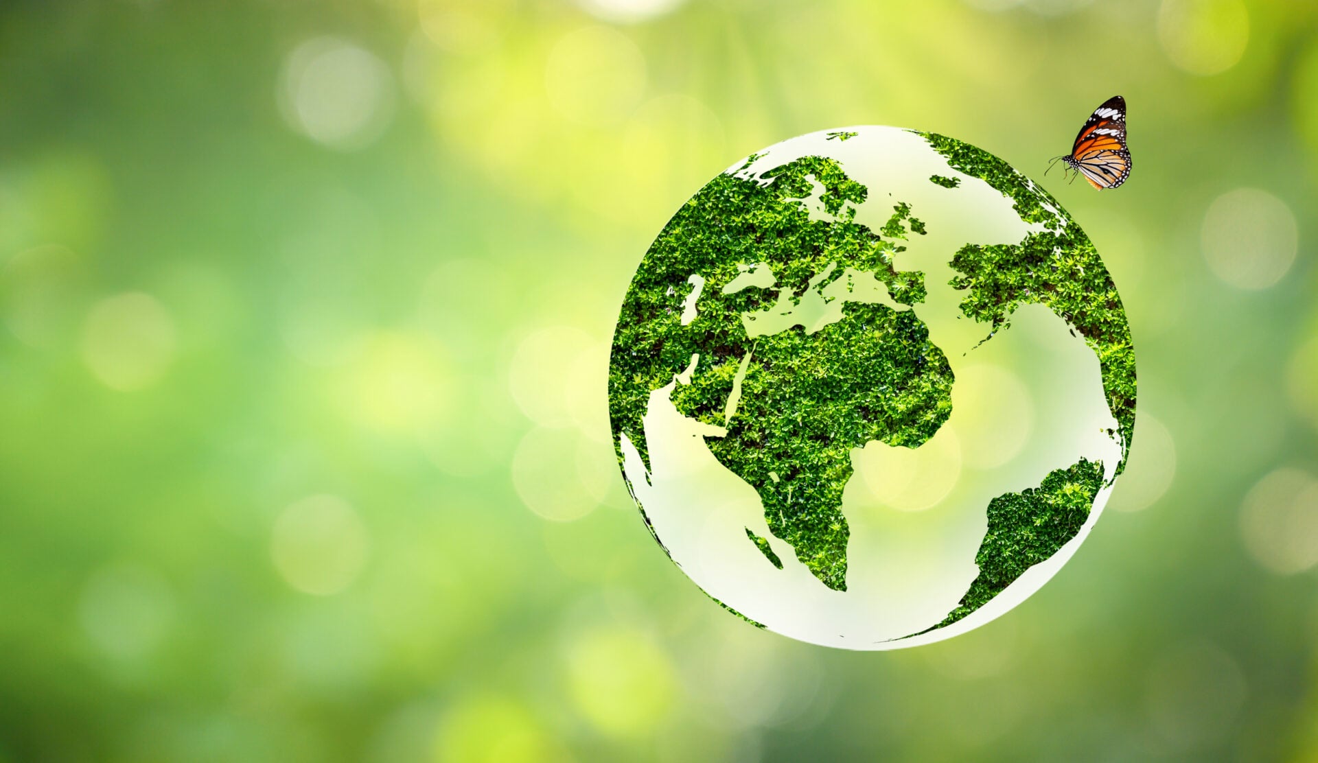 GettyImages 1403841061 (1)