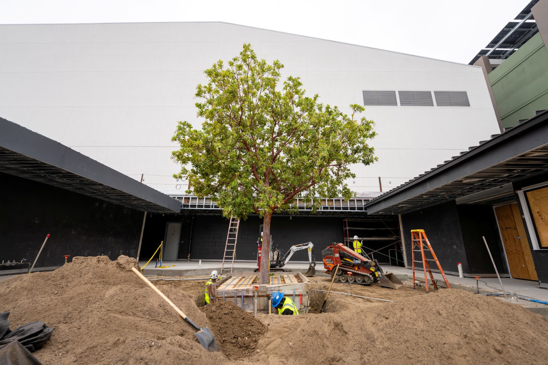 OCVIBE Concert Hall Marina Tree V2 jpg 2